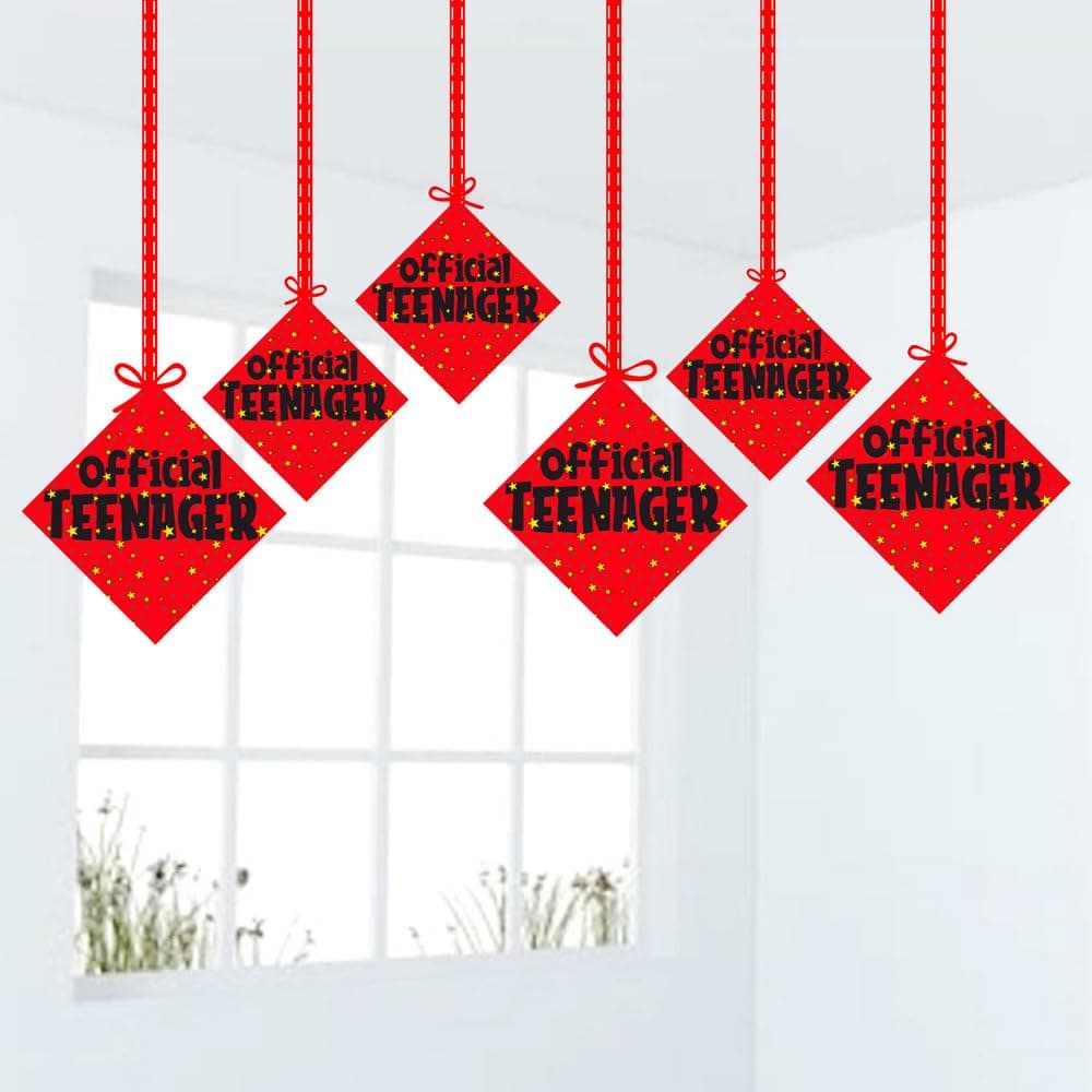 Balloonistics Official Teenager Hanging Decorations - Pack of 12 Double-Sided Cardstock 13th Birthday Ornaments with Ribbons - Premium Milestone Party Bunting & Wall Decor for Boys & Girls thumbnail 1