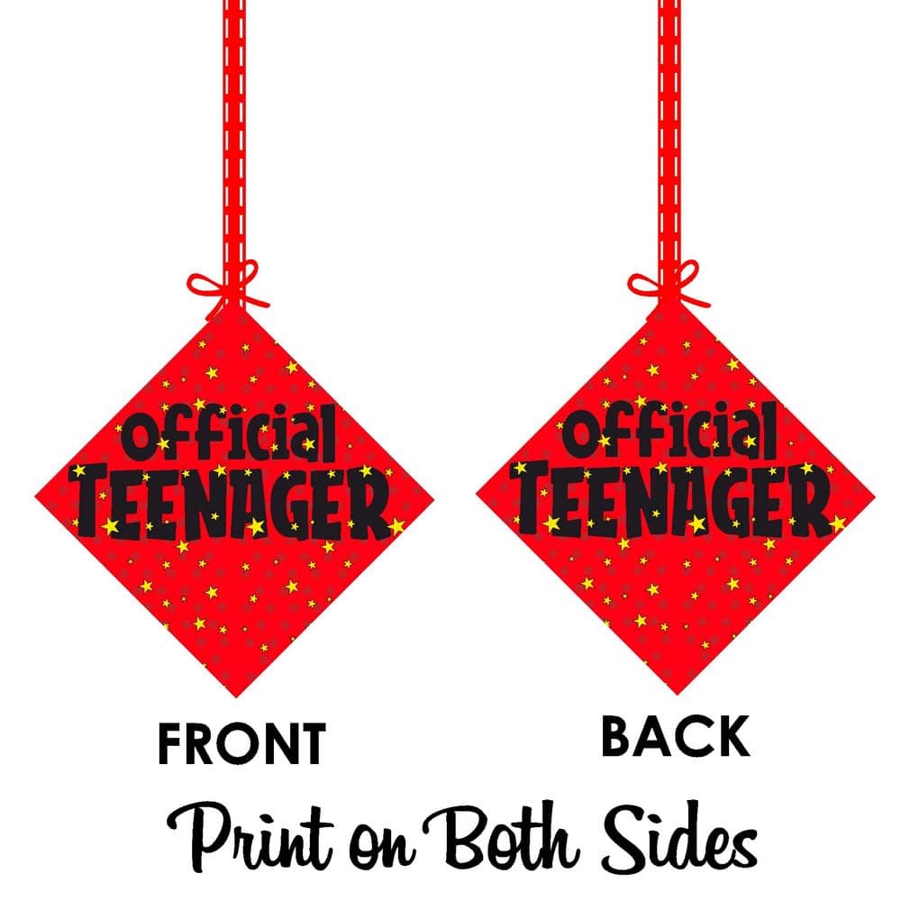 Balloonistics Official Teenager Hanging Decorations - Pack of 12 Double-Sided Cardstock 13th Birthday Ornaments with Ribbons - Premium Milestone Party Bunting & Wall Decor for Boys & Girls thumbnail 8