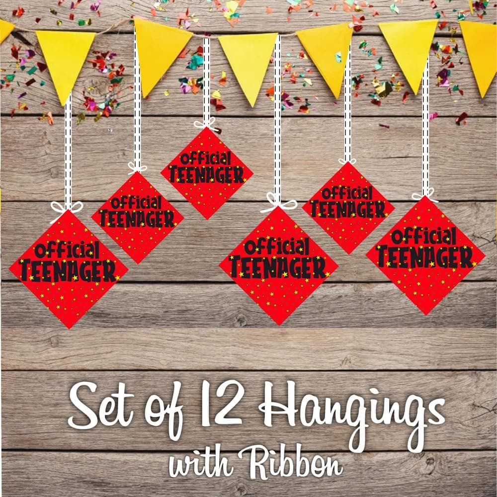 Balloonistics Official Teenager Hanging Decorations - Pack of 12 Double-Sided Cardstock 13th Birthday Ornaments with Ribbons - Premium Milestone Party Bunting & Wall Decor for Boys & Girls thumbnail 2