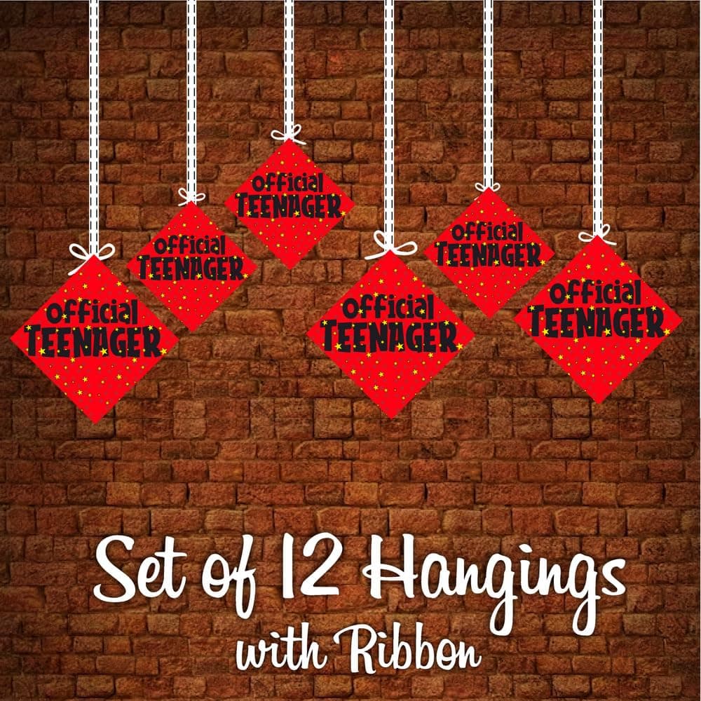 Balloonistics Official Teenager Hanging Decorations - Pack of 12 Double-Sided Cardstock 13th Birthday Ornaments with Ribbons - Premium Milestone Party Bunting & Wall Decor for Boys & Girls thumbnail 5
