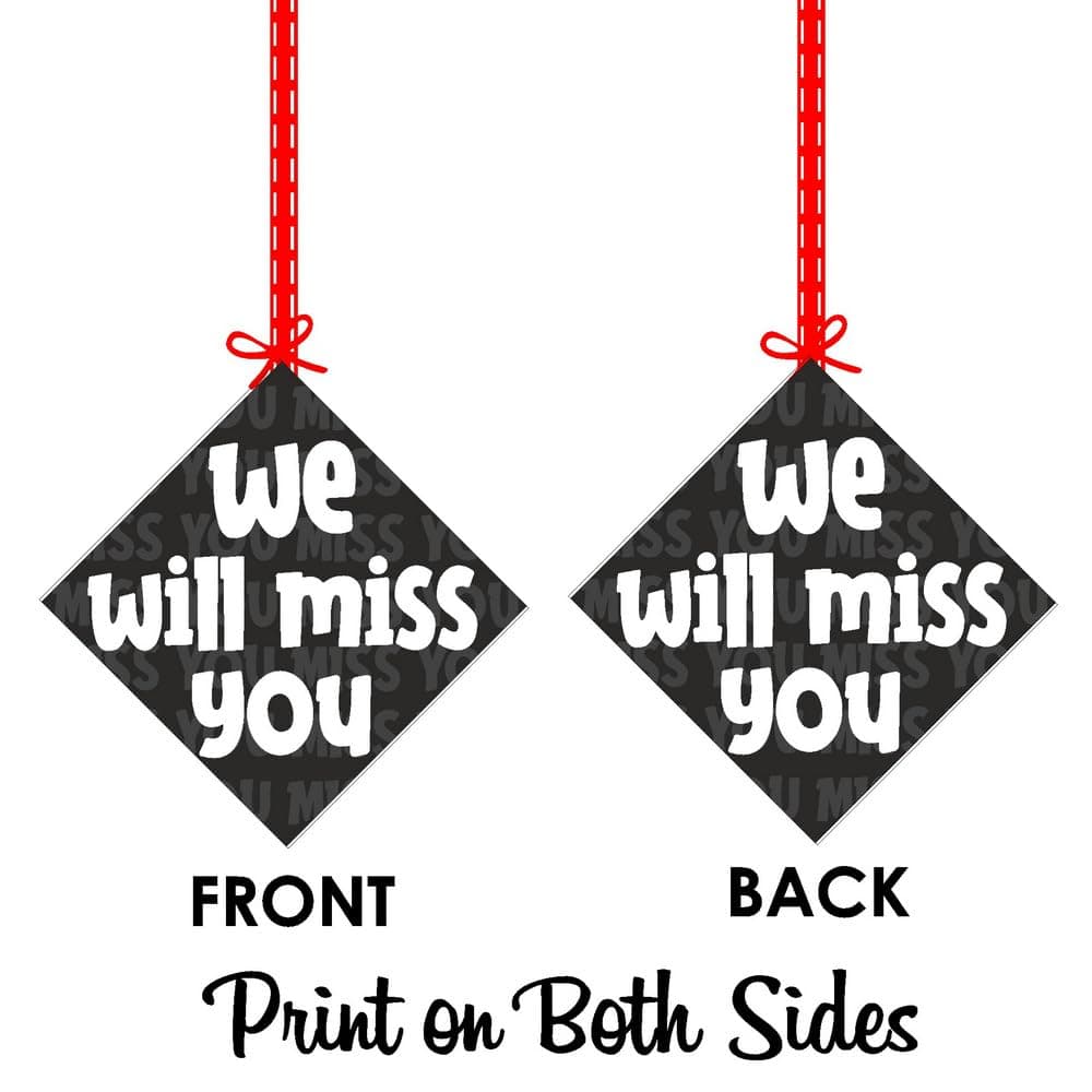 Balloonistics We Will Miss You Hanging Decorations - Pack of 12 Double-Sided Cardstock Cutouts with Satin Ribbons - Elegant Farewell, Retirement & Going Away Party Decor - 2-Sided High-Definition Print(Hangings - Pack of 12) thumbnail 8