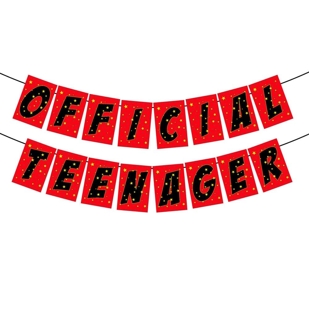 Balloonistics Official Teenager Happy Birthday Banner – Bold Black & Gold Bunting – Premium Cardstock 13th Birthday Party Decorations for Boys & Girls thumbnail 2
