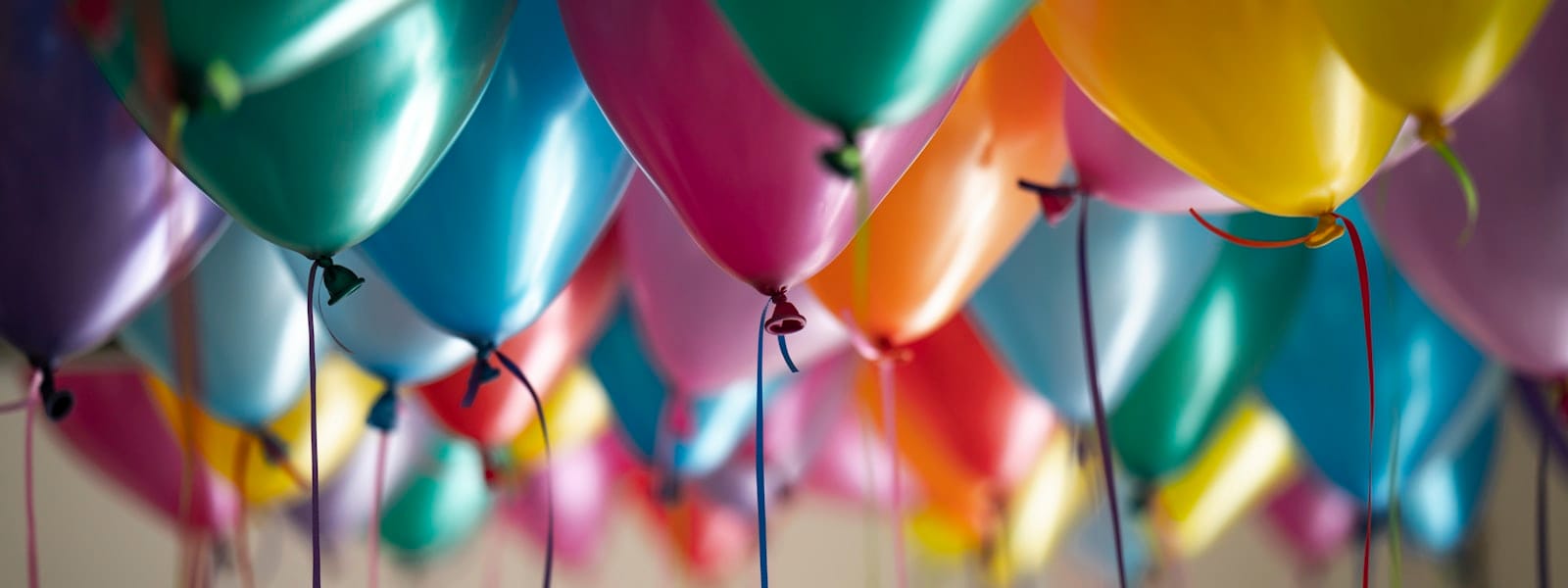 Birthday celebration